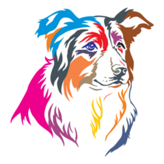 Rainbow Border Collie Sticker