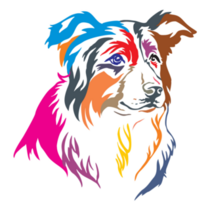 Rainbow Border Collie Sticker