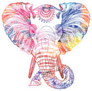Rainbow Elephant Head Sketch Sticker