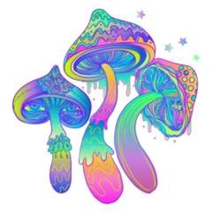 Rainbow Magic Mushrooms Psychedelic Sticker