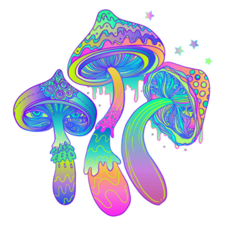 Rainbow Magic Mushrooms Psychedelic Sticker