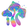 Rainbow Magic Mushrooms Psychedelic Sticker
