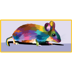 Rainbow Pop Art Mouse Sticker