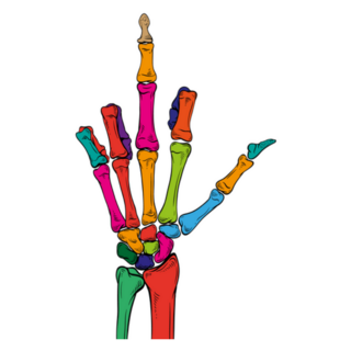 Rainbow Skeleton Middle Finger Sticker