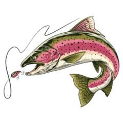 Rainbow Trout Fish Sticker