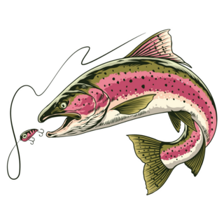 Rainbow Trout Fish Sticker