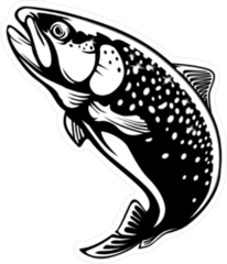 Rainbow Trout Sticker