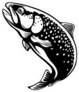 Rainbow Trout Sticker