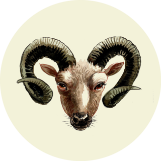 Ram Head Drawn Sticker