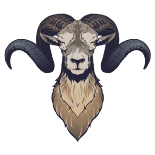 Ram Head Illustration Sticker