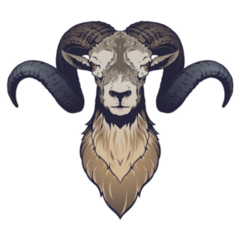 Ram Head Illustration Sticker