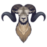 Ram Head Illustration Sticker