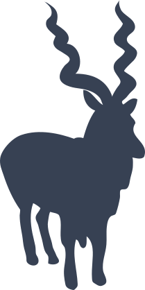 Ram With Swirly Horns Sticker