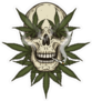 Rastafarian Skull With Cannabis Leafs Sticker