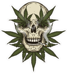 Rastafarian Skull With Cannabis Leafs Sticker