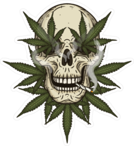 Rastafarian Skull With Cannabis Leafs Sticker