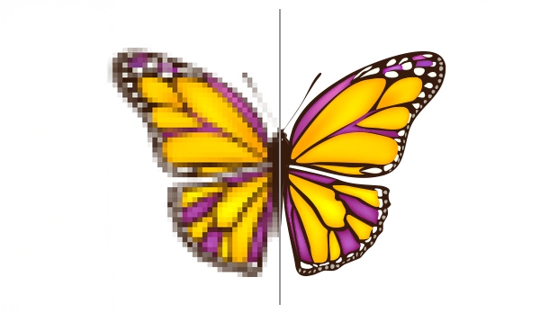 Raster vs Vector Image Comparison