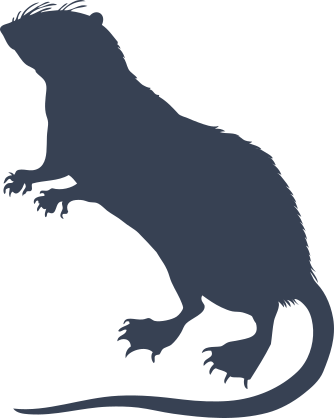 Rat On Two Feet Sticker