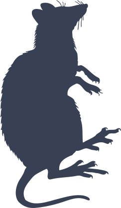 Rat Sitting Up Sticker