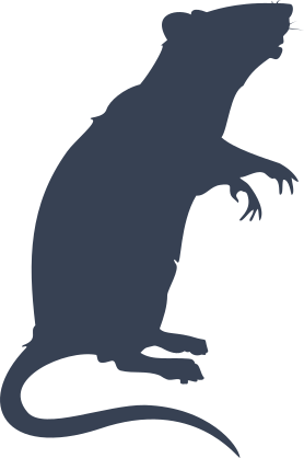 Rat Standing On Hind Legs Sticker