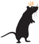 Rat With Crown Sticker