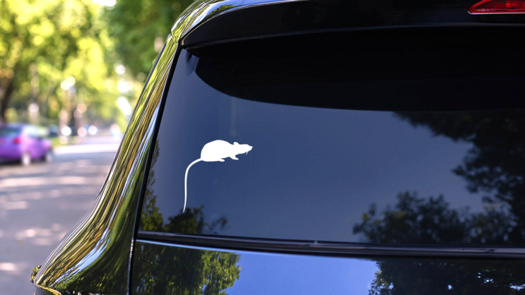 Rat With Long Tail Pointed Down Sticker on a Rear Car Window (New) example