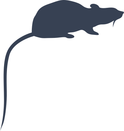 Rat With Long Tail Pointed Down Sticker