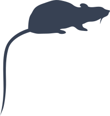 Rat With Long Tail Pointed Down Sticker