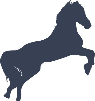 Ravishing Horse Sticker