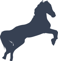 Ravishing Horse Sticker