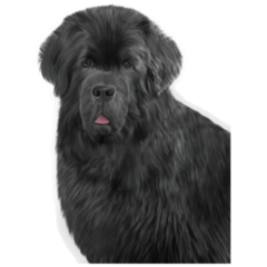 Real Newfoundland Sticker