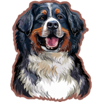 Realistic Bernese Head Sticker