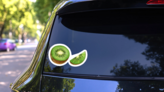 Realistic Botanical Watercolor Kiwi Sticker on a Rear Car Window (New) example