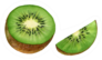 Realistic Botanical Watercolor Kiwi Sticker