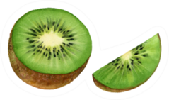 Realistic Botanical Watercolor Kiwi Sticker