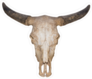 Realistic Buffalo Skull Sticker