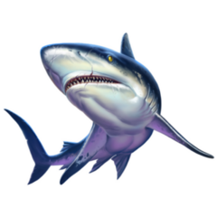 Realistic Caribbean Reef Shark Sticker