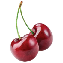 Realistic Cherry Art Sticker