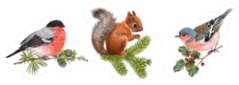 Realistic Detailed Bird And Squirrel On Branches Sticker