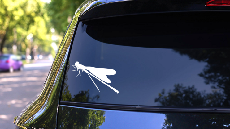 Realistic Dragonfly Sticker on a Rear Car Window (New) example