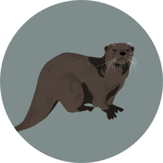 Realistic Drawing Of An Otter Sticker