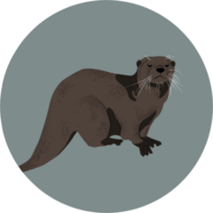 Realistic Drawing Of An Otter Sticker