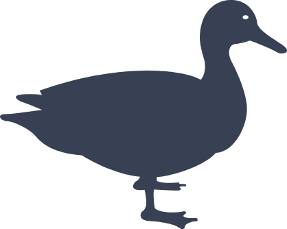 Realistic Duck Standing Sticker