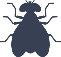 Realistic Fly Sticker