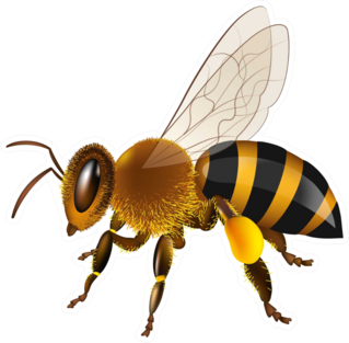 Realistic Honey Bee Sticker