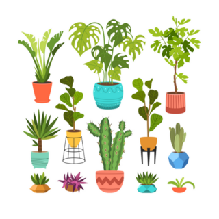 Realistic Houseplants Exotic Flower sticker