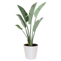 Realistic Illustration of Potted Birds of Paradise Plant Sticker