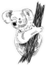 Realistic Koala Illustration Sticker