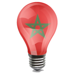 Realistic Morocco Bulb Sticker
