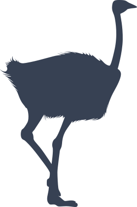 Realistic Ostrich Sticker